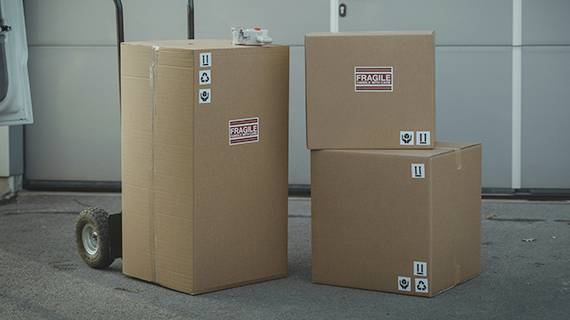 Una logística eficiente.